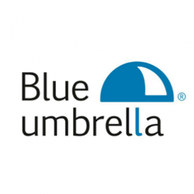 Mathijs Zwiers - Blue Umbrella